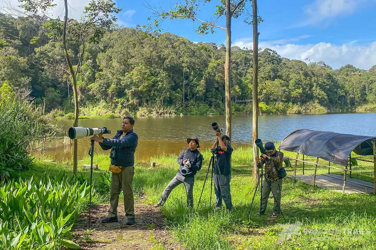 Birding in Lore Lindu Birding in Lore Lindu