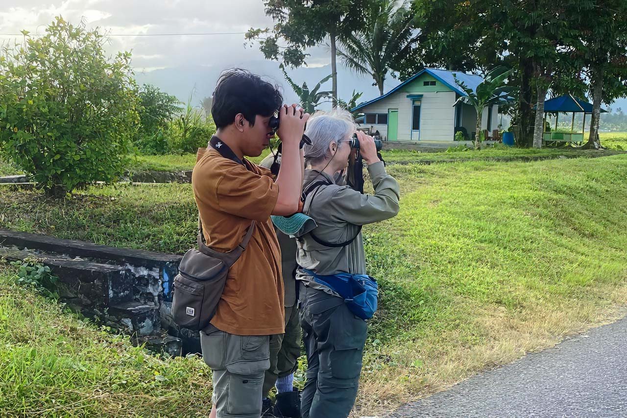 Rangga, Bird Spotting Rangga, Bird Spotting