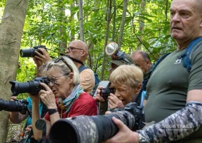 Bird Photography Tour, Rangga Trails