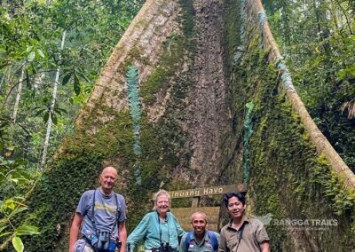 Birding in Aketajawe Lolobata