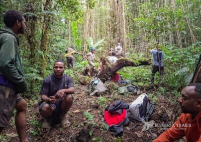 Birding in Arfak Mountain