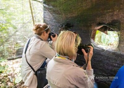 Birding in Mount Mahawu, Tomohon