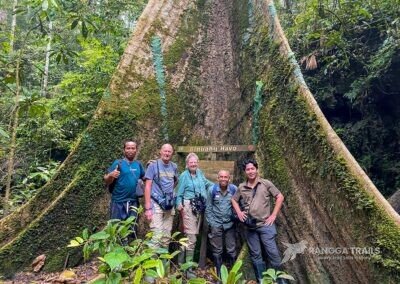 Birding in Halmahera