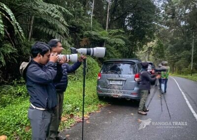 Birding in Lore Lindu