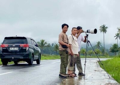 Birding in Molibagu roadside, North Sulawesi