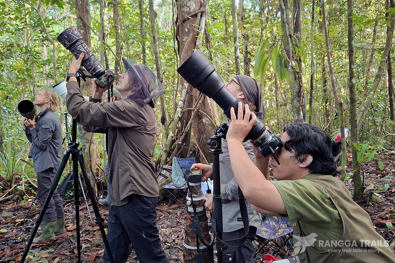 Birding in Nimbokrang Birding in Nimbokrang