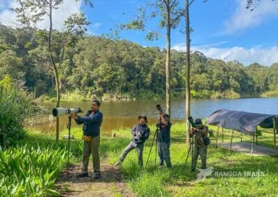 Birding in Tambing