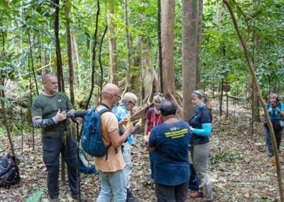 Birding aftermath in Tangkoko, North Sulawesi