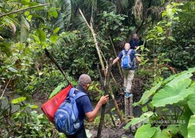 Halmahera Birdwatching