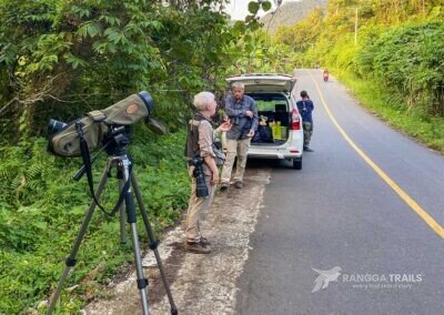 Halmahera Roadside Birding