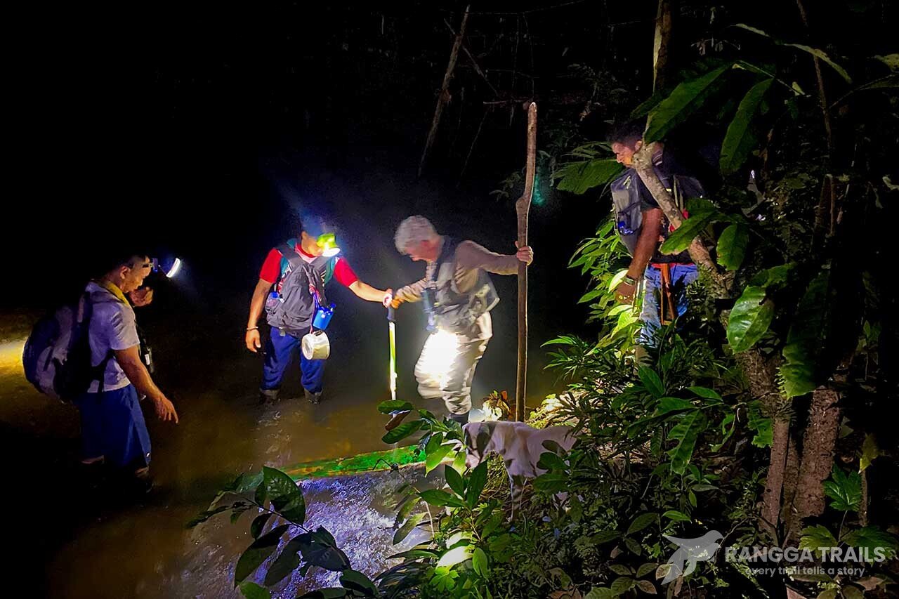 Night Birding Halmahera Night Birding Aketajawe Lolobata
