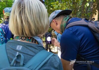 Spotting the Gursky's Tarsier in Tangkoko
