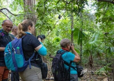 Taking Photo Of Macaque