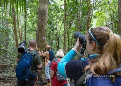 Taking Photo of Cicada in Tangkoko
