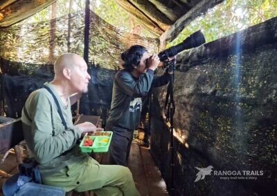 Taking The Red Bird Of Paradise Photo