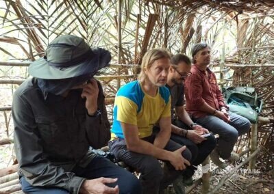 Waiting for Magnificent Riflebird